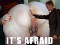 Its afraid.jpg