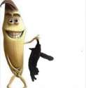 bananacat.jpg