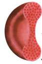 a-blut-04.jpg