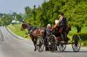 amish-buggy-hitcher.jpg