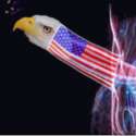 hawk.png