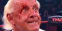 ric-flair-tna-growl-600x300.jpg