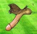 dickbird.jpg