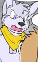 Fox (50).png