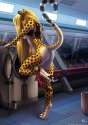 1343698_fluffKevlar_mihari_laundryweb.jpg
