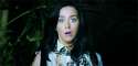 tumblr_mzd2vsus9r1qdr3xmo1_500_panik.gif
