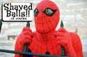 spidey shaved.jpg