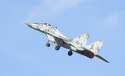 MiG-29_2608.jpg