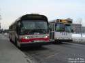 ttc2794.jpg