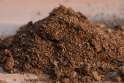 Schultz_Sphagnum_Peat_Moss.jpg