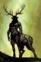 Stag King.jpg