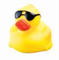 The Duck.jpg