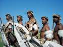 Zulu.jpg