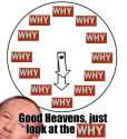 why.jpg
