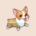 giphy.gif