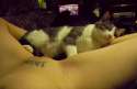 female-pov-pussy-legs-pussy_by_alvyna-d4umoqi-cu_s9999x230.jpg