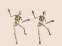tumblr_static_spooky_skeletons.gif