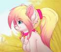 1417718304.magenta7_34654.jpg