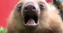 bir2brmjjcbawyosromd.png
