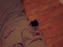 Pc_ccce7c_5555224.gif
