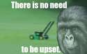1451879392659.gif