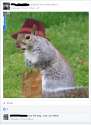 Screenshot 2016-03-09 13.53.36.png