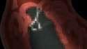 1451704415941.gif