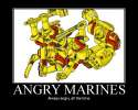 gallery_55261_5223_335860.png