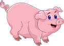 PIG.jpg