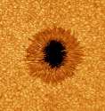 SUNSPOT.jpg