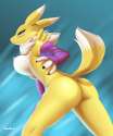1433984877.devo87_renamon_action_3.png