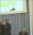 1464190740531.gif