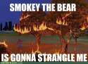 smokeythebear.jpg