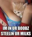 bewbies.jpg