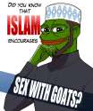 muslim pepe ok.png