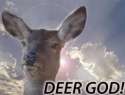 deer god.jpg