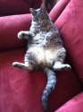 Fatty (115).jpg