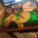 20160310_030704.jpg