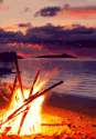 fire at the beach.gif
