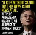 fox_1918333919459964582_n.jpg