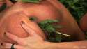296_nettle-lovers-shot37.jpg