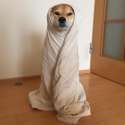 tumblr_nxqztkNkM01r3rdh2o1_540.jpg
