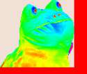 1427400682372.gif