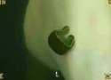 8.gif