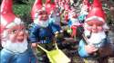 gardengnomes_1050_591_81_s_c1.jpg