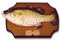 singing-fish-original.jpg