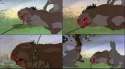 watershipdown.jpg