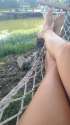 arches in hammock.jpg