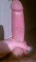 imagejpeg_2_20-picsay.jpg