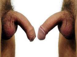CUT-VS-UNCUT.jpg